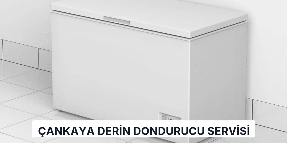 Çankaya Derin Dondurucu Servisi
