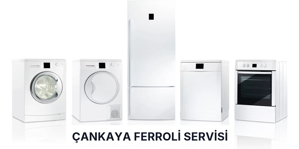 Çankaya Ferroli Servisi