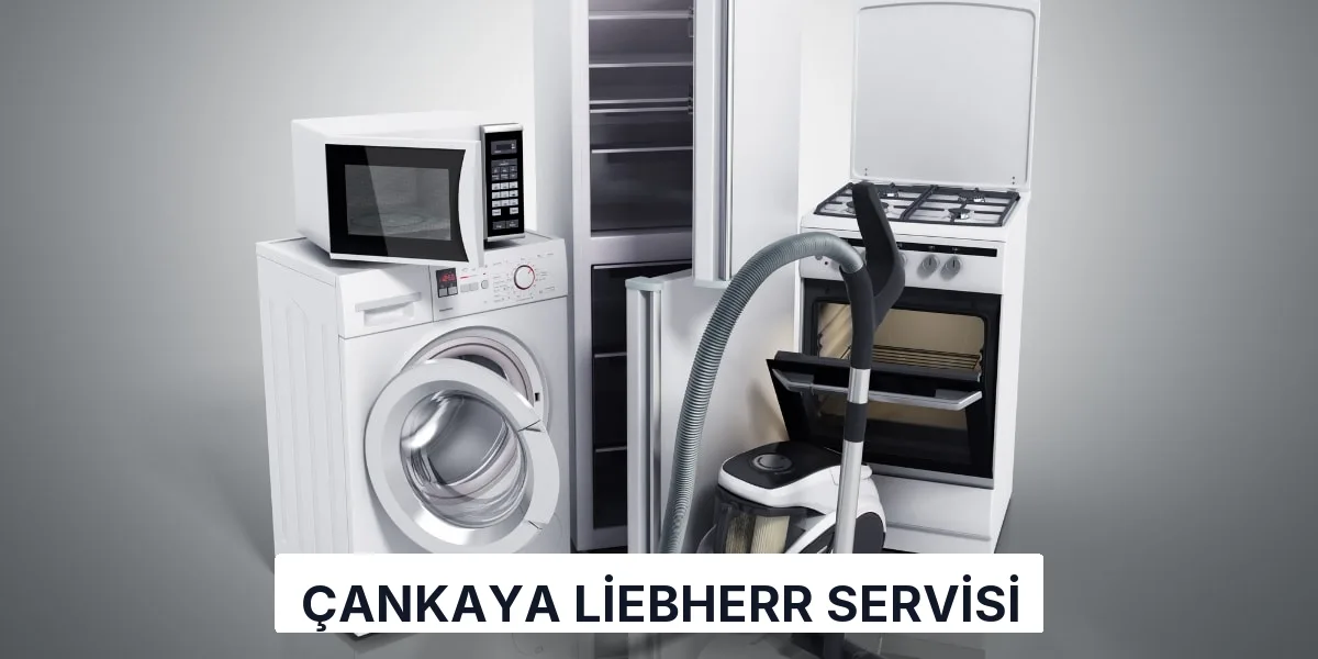 Çankaya Liebherr Servisi